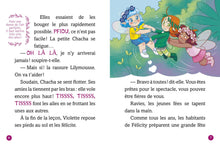 Charger l'image dans la galerie, Livre la Danse des Fées - La Fête des Fleurs