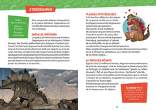 Charger l'image dans la galerie, Auzou LAB' - Je découvre les Dinosaures