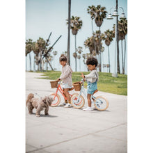 Charger l'image dans la galerie, Draisienne - Vert d'eau