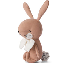 Charger l&#39;image dans la galerie, Peluche Lapin avec boîte cadeau
