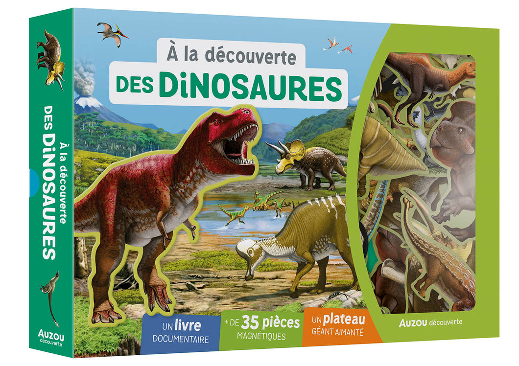 Coffret A la découverte des Dinosaures
