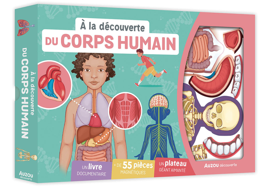 Coffret A la découverte du Corps Humain