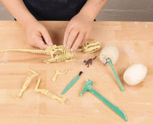 Charger l&#39;image dans la galerie, Auzou LAB&#39; - Je découvre les Dinosaures
