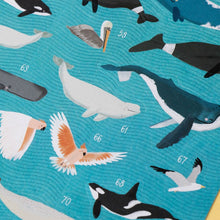 Charger l&#39;image dans la galerie, Poster &amp; Stickers - Animaux du Monde
