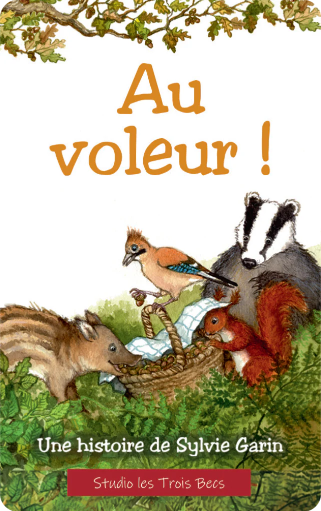 Carte Yoto - Au Voleur !