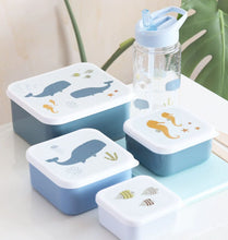 Charger l&#39;image dans la galerie, Boîtes à goûter - Océan

