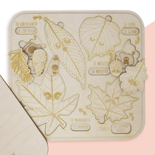Charger l&#39;image dans la galerie, Puzzle Encastrable - Feuilles, Bogues et Fruits
