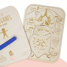 Charger l&#39;image dans la galerie, Puzzle Encastrable - Les organes et leurs fonctions vitales
