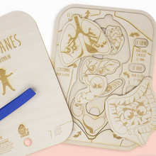 Charger l&#39;image dans la galerie, Puzzle Encastrable - Les organes et leurs fonctions vitales
